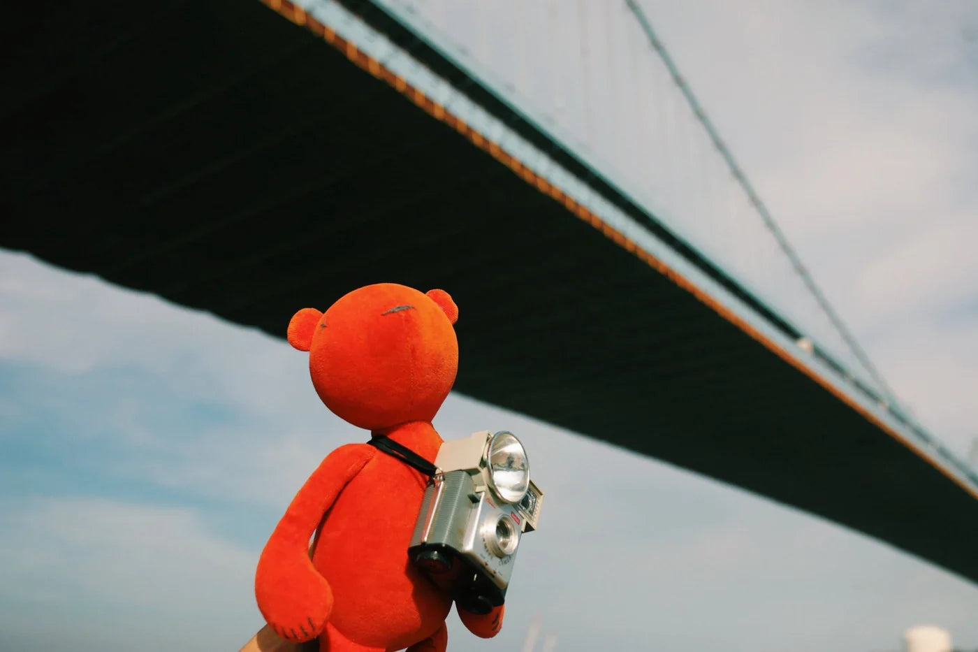 The Psychology of Adults Who Sleep with Stuffed Animals: A Comforting Habit Explained