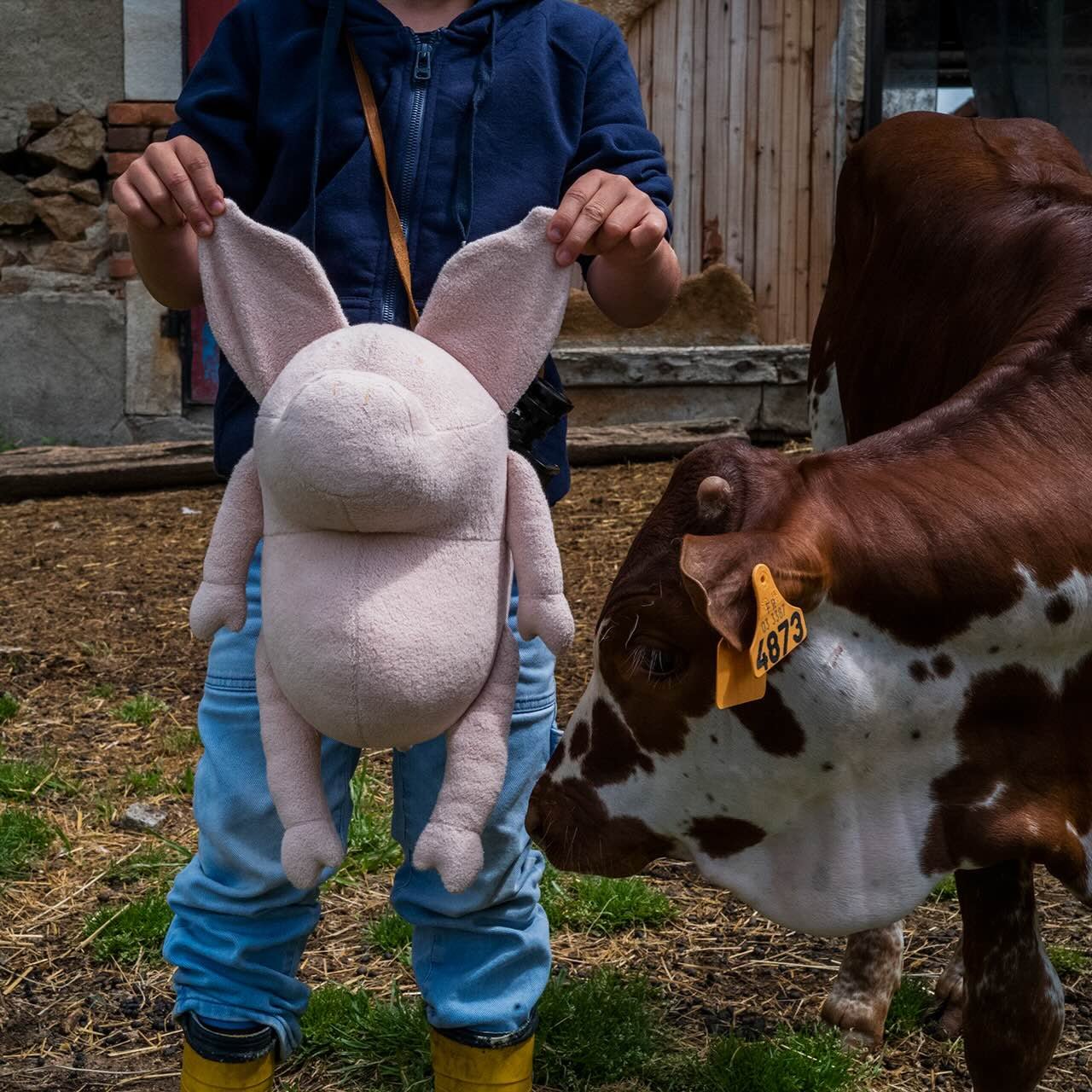 HELMUT, LE COCHON - GRAND - ADADA Beige rose Sans vêtements