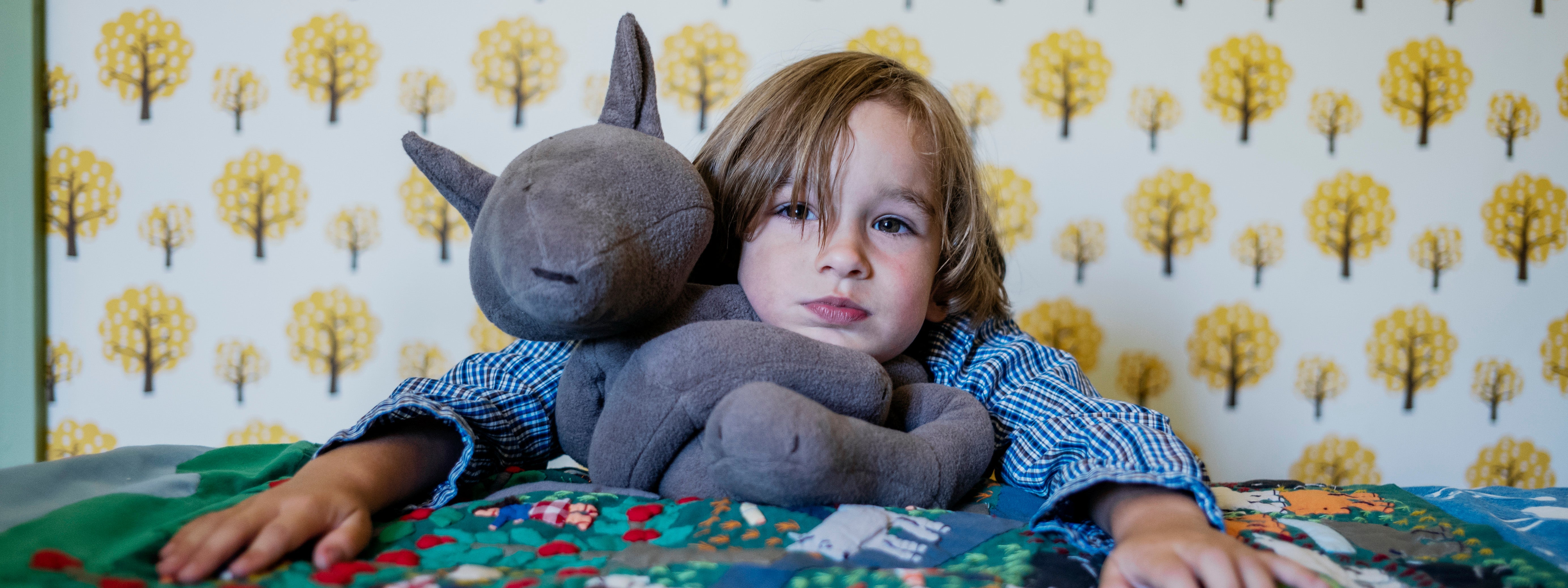 Choosing a Teddy Bear for Grown-Ups Who Still Love Soft Things