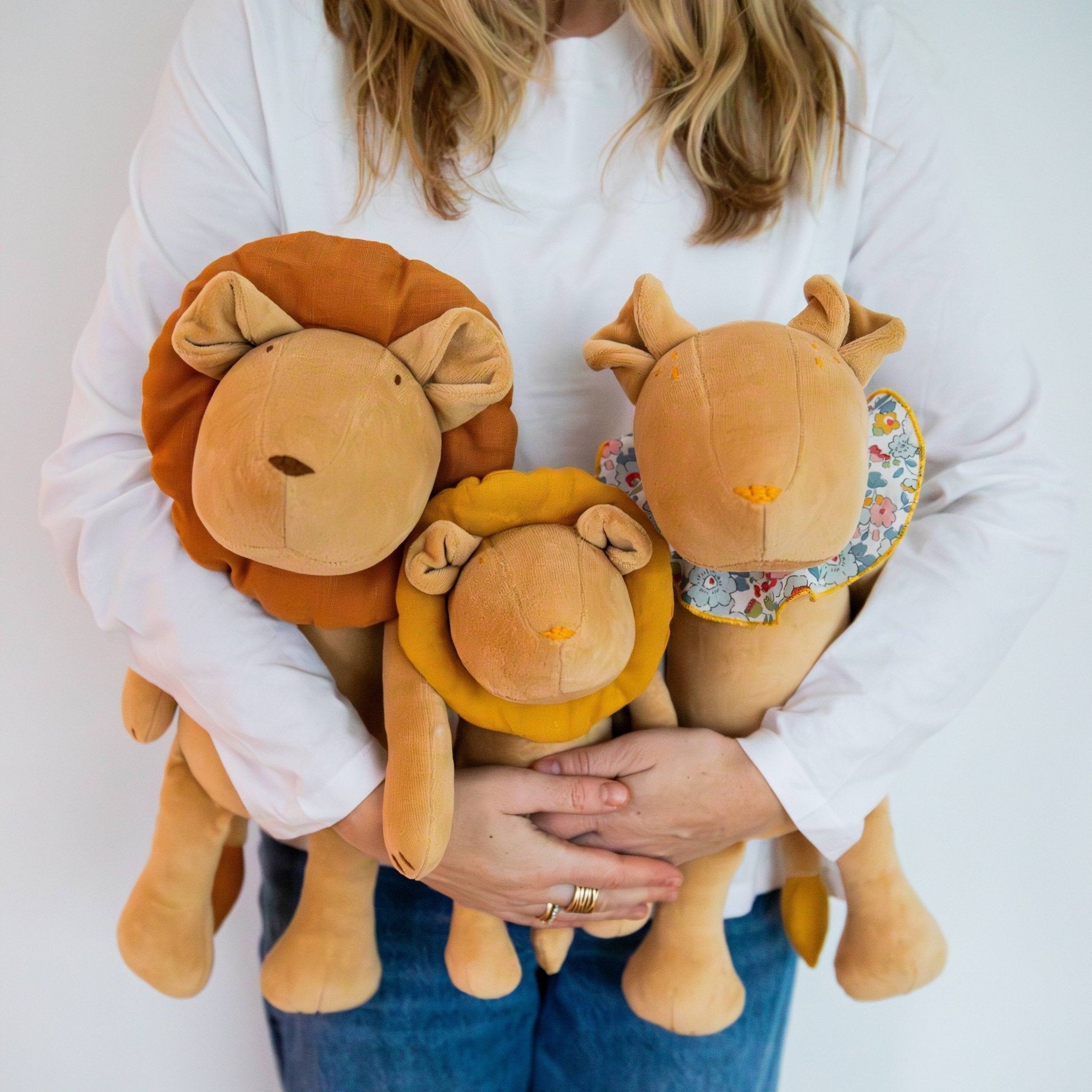 THE LION FAMILY - PACK OF 3